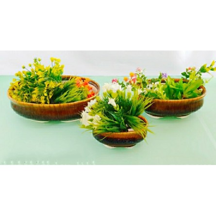 Set Of 3 Plate Shape Ceramic Pot